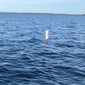 Meet your Posher, Maya